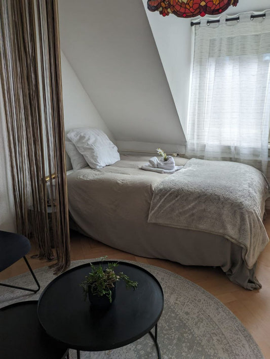 Nice room in the heart of Zurich (2)