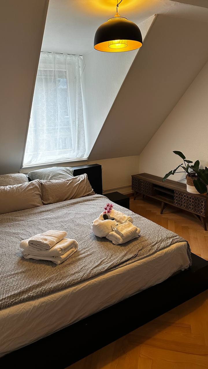 Charming room in Zurich centrum (2)